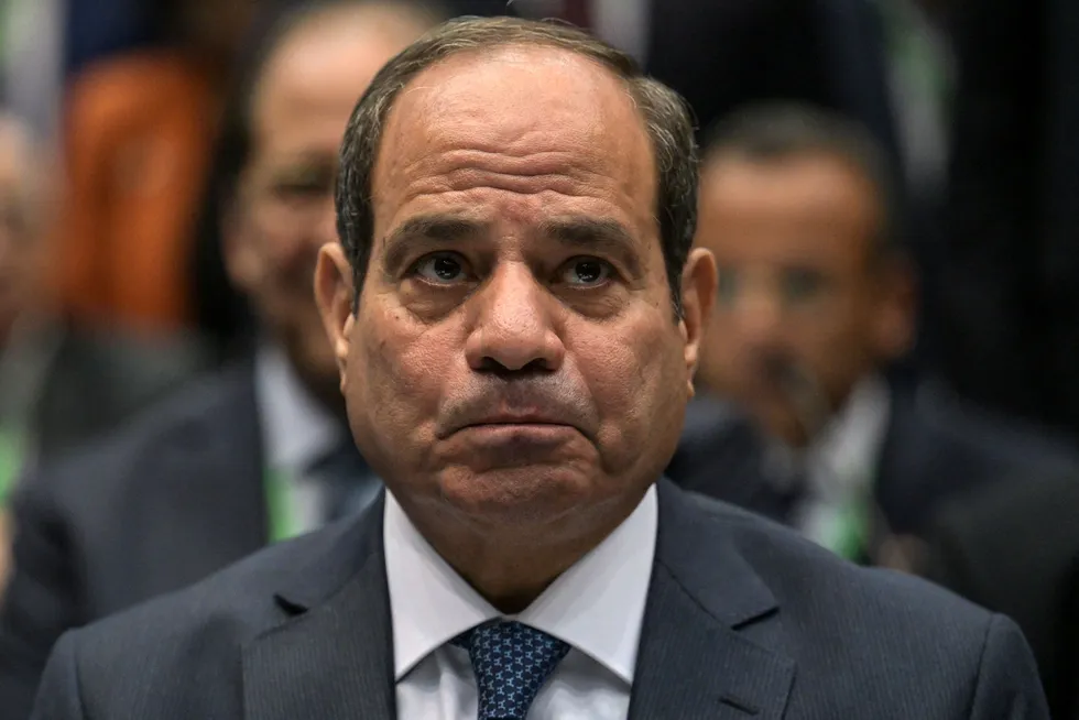 Challenging times: Egyptian President Abdel Fattah al-Sisi.