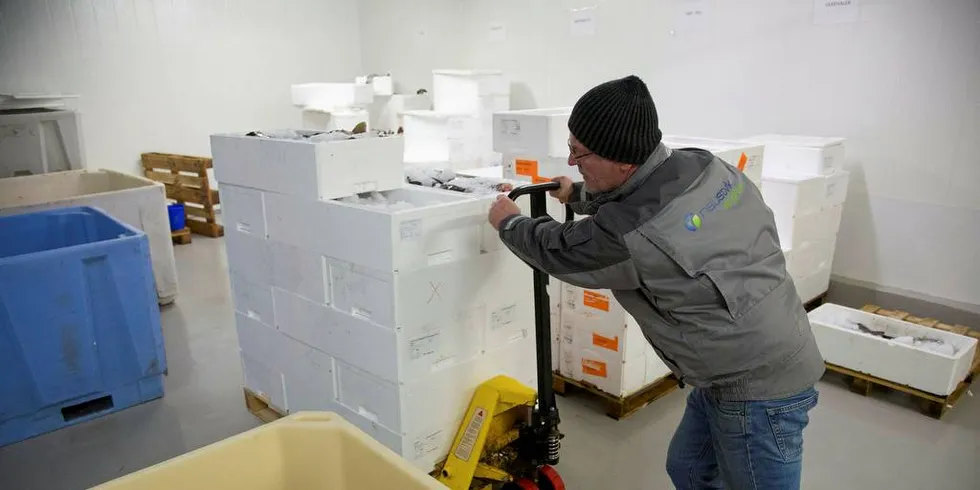 HARD KONKURRANSE: Fiskeindustrien konkurrerer hver eneste dag, både om råstoff og i markedene, skriver Sjømat Norge.Illustrasjonsfoto: Erlend Haukeland