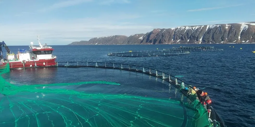 Oppdrettsselskaper skaper arbeidsplasser og gir store ringvirkninger lokalt. Her fra Salmars anlegg i Syltefjorden i Båtsfjord. Foto: Ronald Wærnes, DN