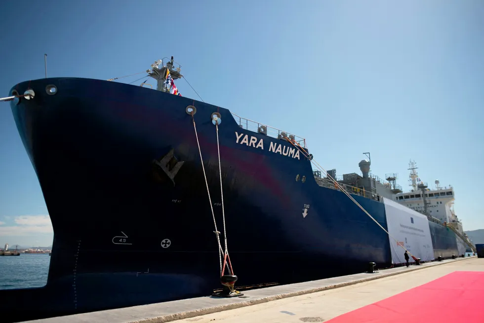 The LPG tanker Yara Nauma, used to transport clean ammonia that eventually is converted back into hydrogen for distribution, is pictured at the Spanish port of Algeciras on June 14, 2023.