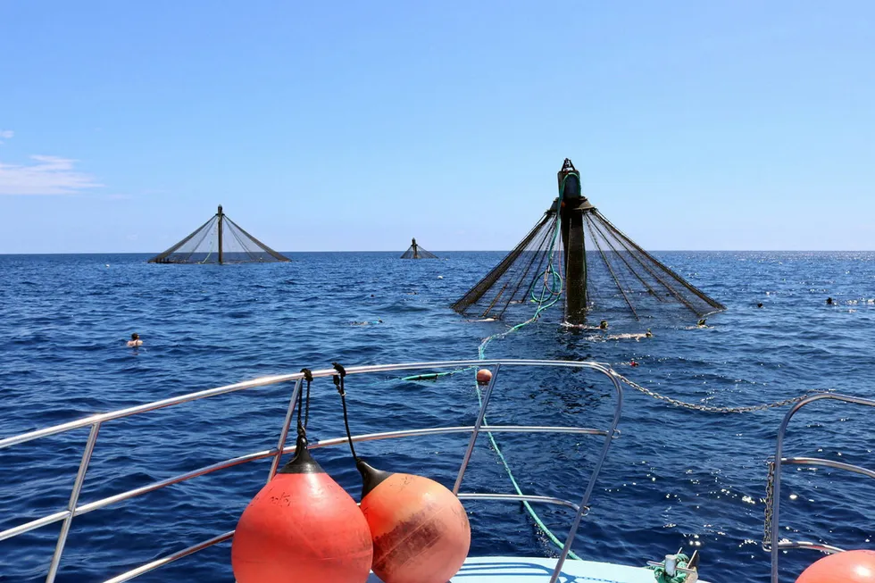 Court rules US offshore aquaculture permits don't comply with