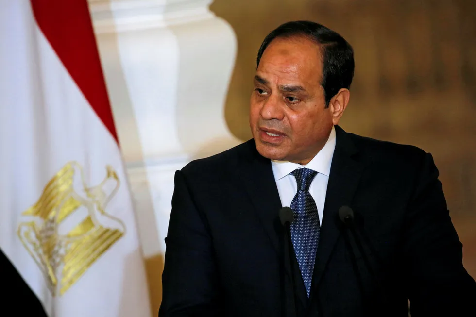 Delight: Egypt's President Abdel Fattah El-Sisi