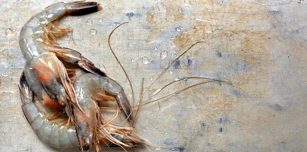 Squeezed at both ends, the shrimp industry has had a troublesome 2023.