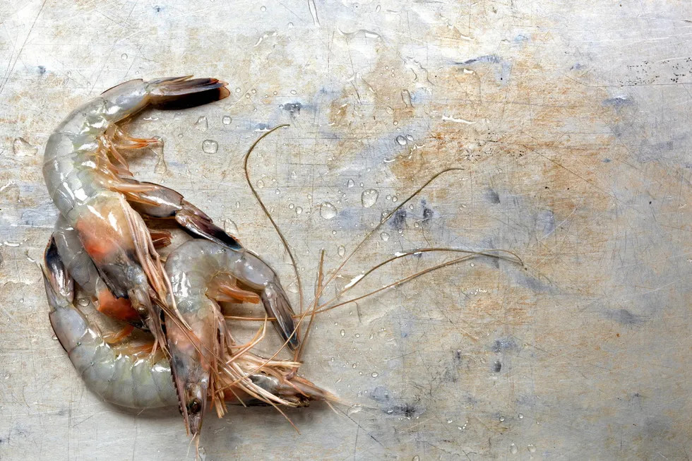 Squeezed at both ends, the shrimp industry has had a troublesome 2023.