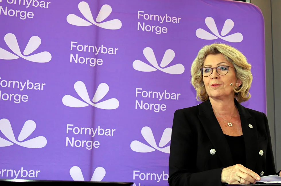 – Norge er i ferd med å falme som foregangsland på fornybar energi, mener Fornybar Norge-sjef Åslaug Haga.