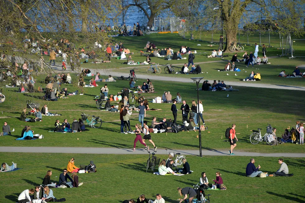 Folksomt i parkene i Stockholm, tross koronapandemien. To forskere har regnet seg frem til at det kan dø opptil 20.000 svensker som følge av viruset.