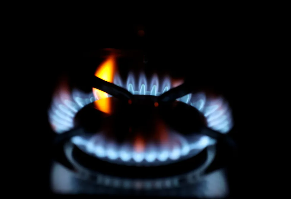 Gas on fire: demand for natural gas in Europe and Asia set to keep prices high until second quarter of 2022