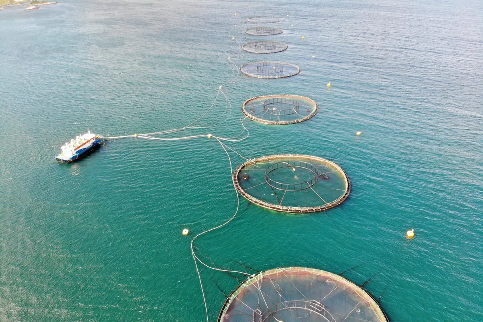 "The weather was unfortunately worse than reported," Mowi Communications Director Ola Helge Hjetland told IntraFish. (The Mowi farm in this photo has no connection with the case).