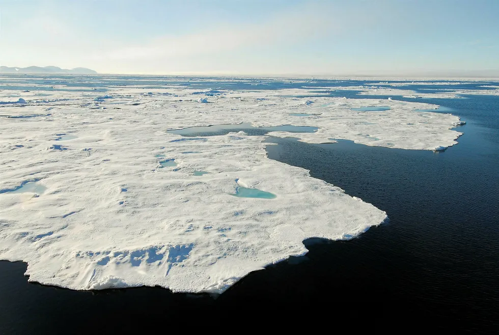Arctic chill: sea ice north of Svalbard