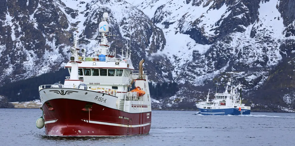 Hvordan politikerne velger å fordele strukturkvotene, vil få konsekvenser både for enkeltfartøy, flåtegrupper og trolig kystsamfunn. Her illustrert med kystnotbåten «Quo Vadis», med «Meløyfjord» i bakgrunnen. Tatt i Prestfjorden utenfor Myre i Vesterålen.