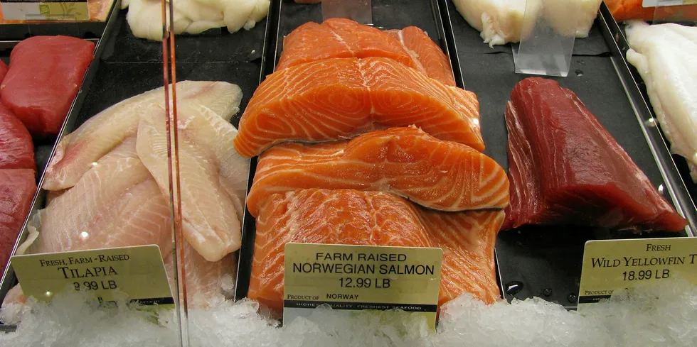 Norwegian salmon fillets.