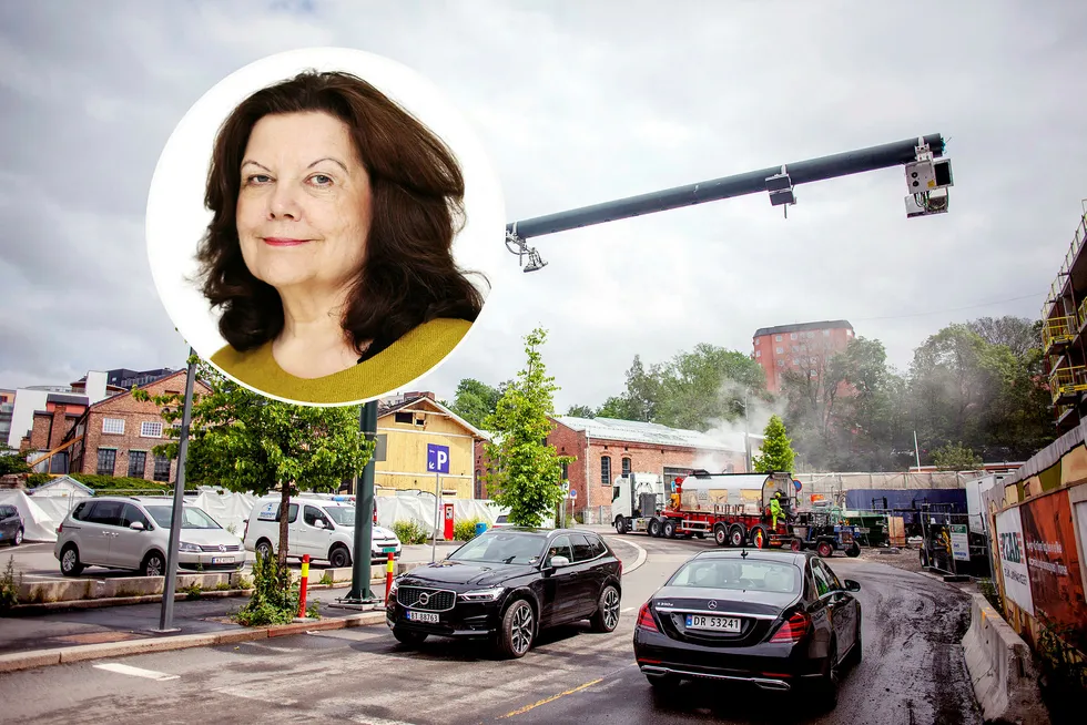 Det er Fjellinjens direktør, Anne Karin Sogn, som ifølge NRK stadig oftere har ansatt konsulenter.