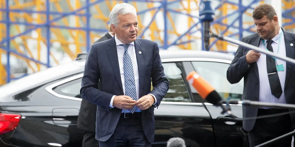 Didier Reynders, the EU's acting competition commissioner.