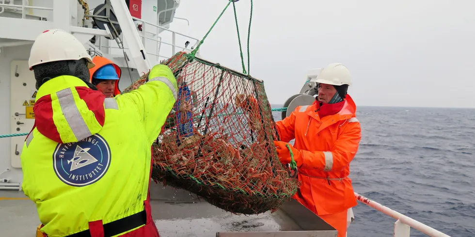 Det vil være av svært stor økonomisk og sysselsettingsmessig betydning at denne ressursen også kommer kysten til gode, skriver Wenche Pedersen, Rådsleder Øst-Finnmarkrådet og Marianne S. Næss, Rådslede Vest-Finnmark Rådet. Bildet er fra snøkrabbetoktet til Havforskningsinstituttet juni/juli 2020.