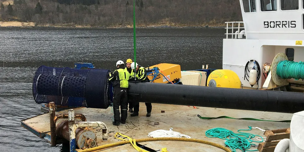 Montering av rognkjeksbeskytter på røret før utsetting i merd.