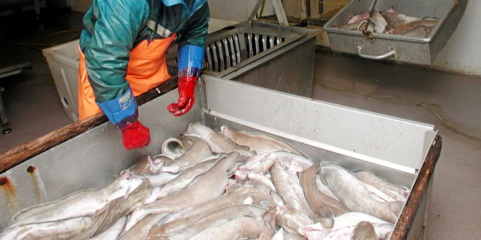 Fiskeridirektoratet stoppet fisket etter brosme 16. september, og innførte en regel som ikke tillater mer enn 25 prosent bifangst ved fiske etter andre arter.