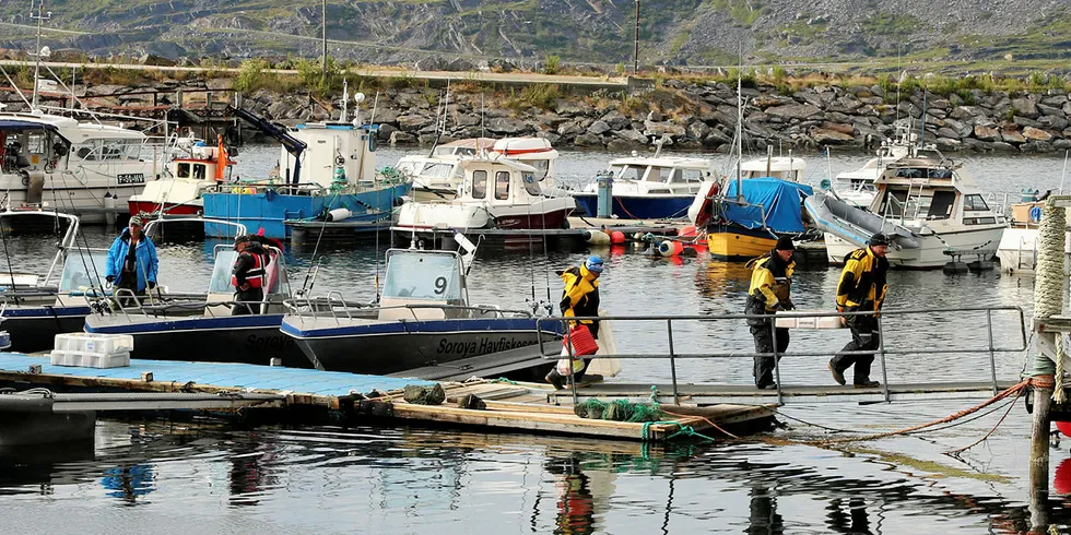 BÆRER TUNGT: Turistfiskere ved Sørøya Havfiske AS i Breivikbotn i Hasvik fikk gode seifangster i juli.