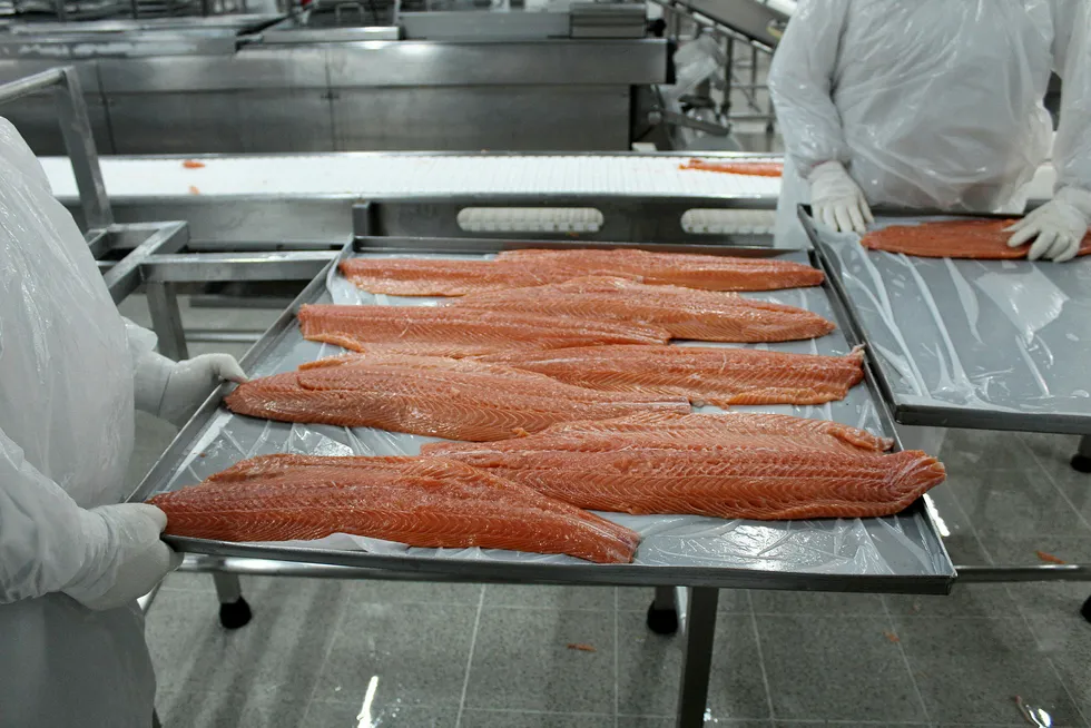 Atlantic salmon processing plant.
