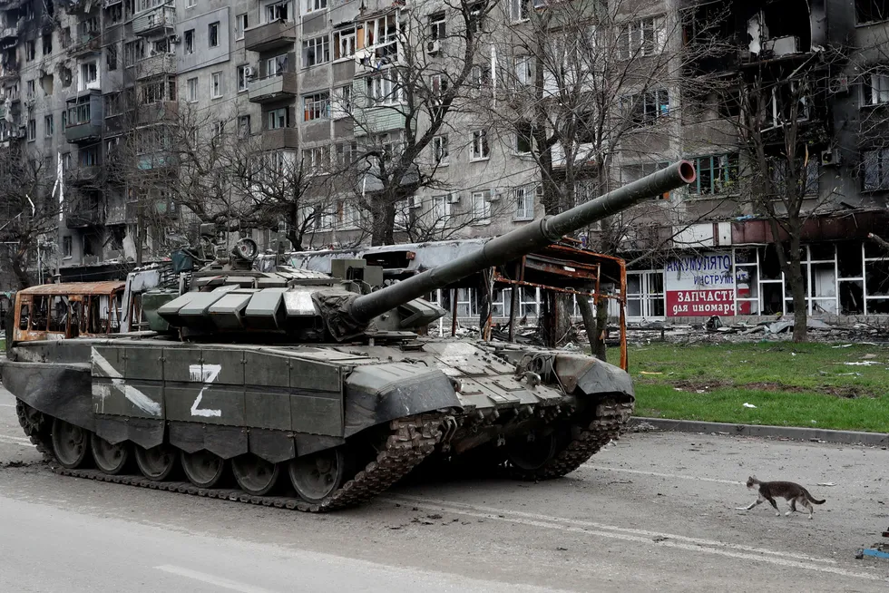 En katt spaserer foran en russisk stridsvogn i svært ødelagte Mariupol sør i Ukraina.