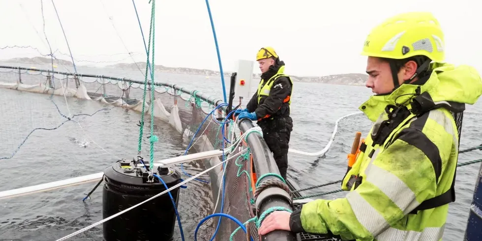 Driftslederne Eddy Knutshaug (nærmest) og Tage Aarstad heiser opp en av lasernodene som har skapt en ny hverdag på oppdrettsanlegget.