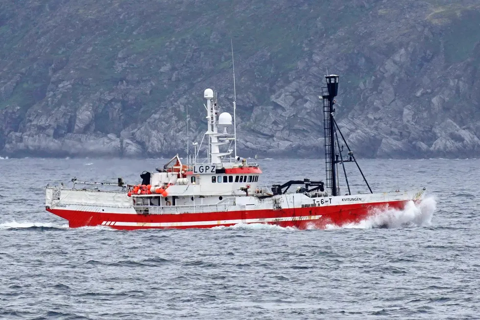 Den tidligere selfangstbåten «Kvitungen» brukes nå i fisket etter krabbe.