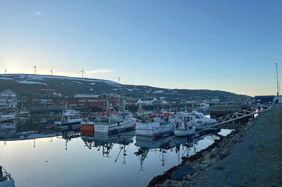 Båtsfjord havn tidlig juni. En rekke båter i åpen gruppe.