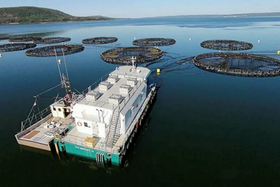 A Cooke Aquaculture feed system in Nova Scotia.