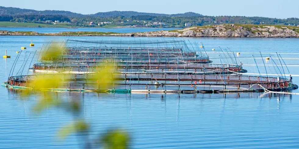 På Frøya er det en rekke havbruksrelaterte selskaper. I den nye rapporten har forskerne både sett på direkte sysselsetting og verdiskaping, samt hvor stor indirekte verdiskaping som eksisterer i totalt ti ledd.