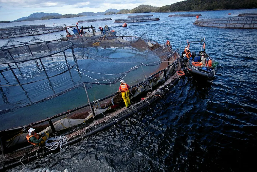 Patagonia film against Chilean salmon industry.