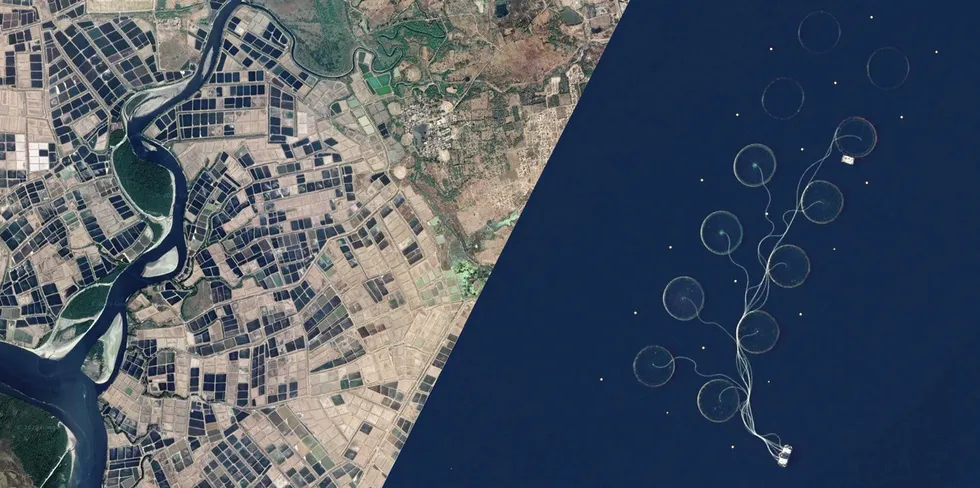 Eksempler av satellittbildene som Dynaspace analyserer. Ved hjelp av bildene kan selskapet bistå oppdretternes produksjon.