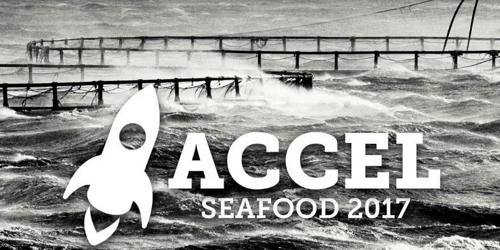 Accel Seafood har avspark i Bergen i slutten av oktober.