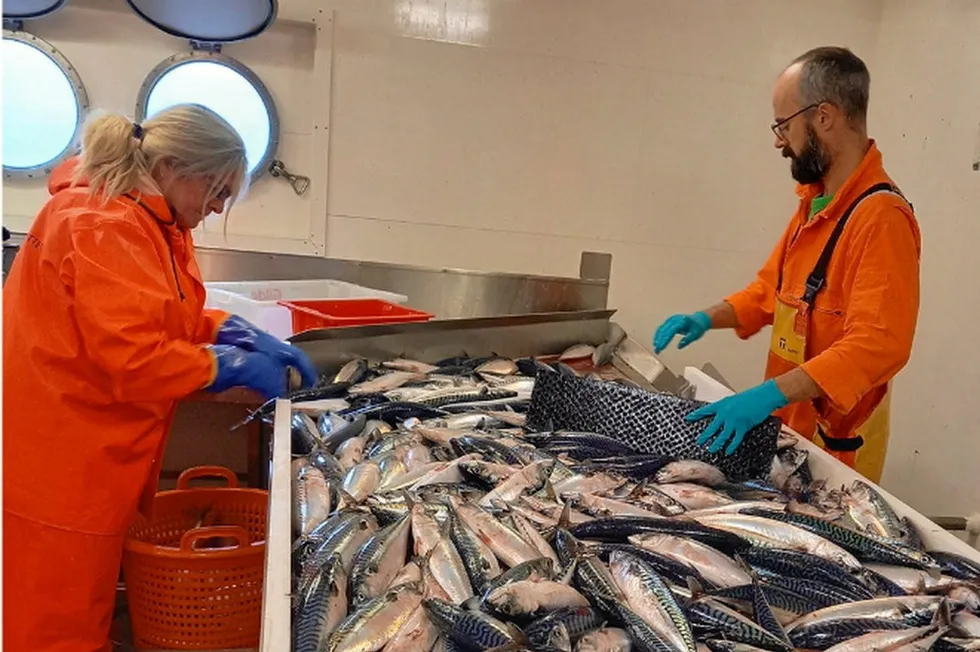 Ørjan Sørensen og Jane Strømstad Møgster tar imot trålfangsten på «Eros».