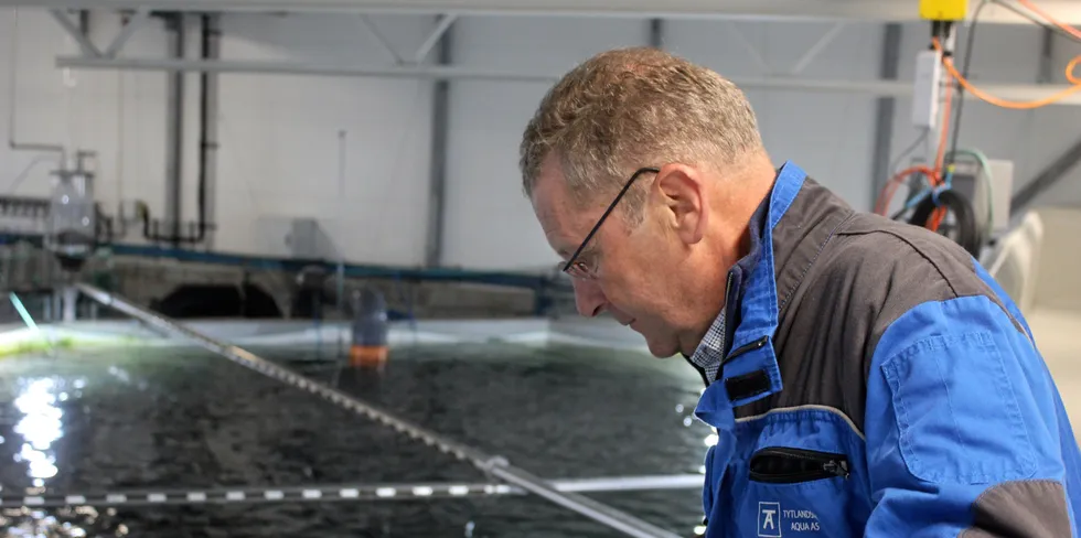 Andreas Kvame er konsernsjef i Grieg Seafood. Her hos Tytlandsvik Aqua på Ryfylke, som produserer postsmolt.