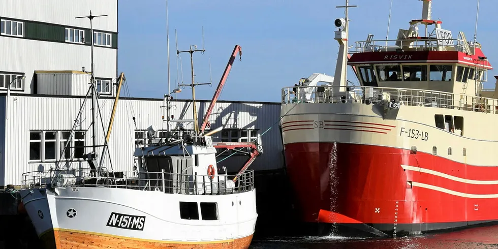 SAMFISKEBÅTER: «Ny-Måtind» (ligger fremst og er 19,1 meter) fra Moskenes i Nordland, driver samfiske med «Arne» (7,5 meter). Her sammen med «Risvik», fra Lebesby i Finnmark, som vi beklageligvis har forvekslet med en annen båt med samme navn og fra samme kommune, men med annen eier. Det er «Risvik» (F-53-LB) som er nær 15 meter, som driver samfiske med « Mårøysund», som er nær 13 meter. (Vi beklager - red.anm.)