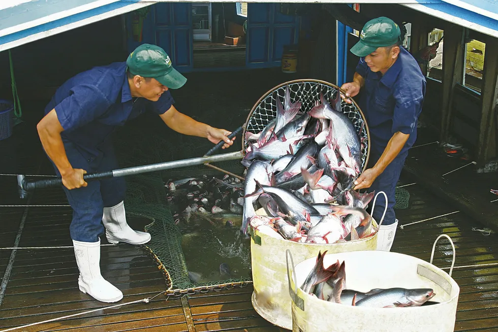 Pangasius imports have been declining this year in the United States.