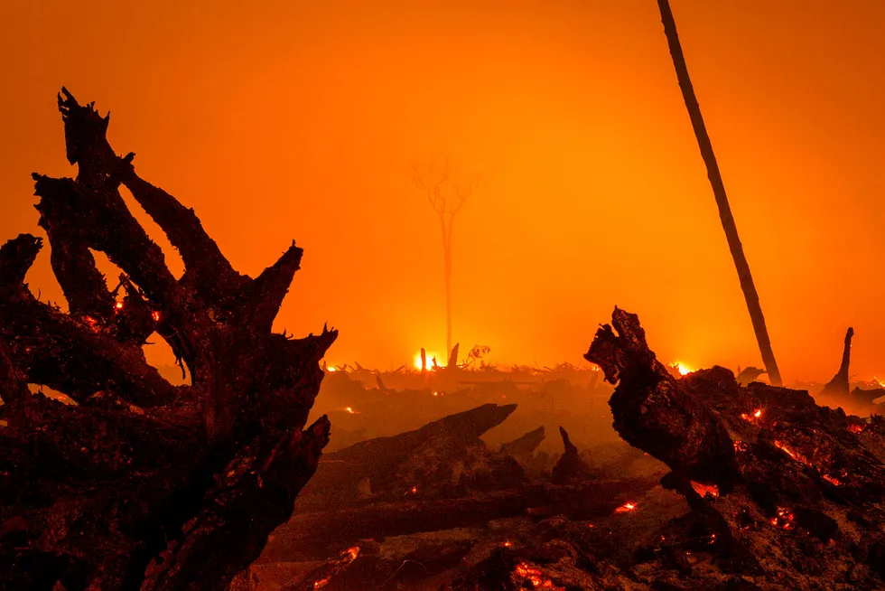 I november 2015 var det branner i Palangkaraya i Indonesia etter tørketid som en følge av El Niño. Foto: Ulet Ifansasti / Getty Images Scanpix