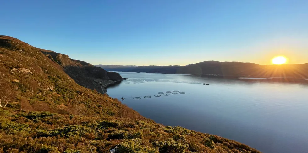 Mowi-Anlegg i Brudevik, sør i Møre og Romsdal.