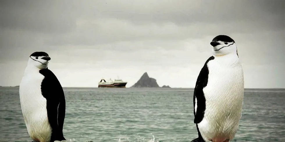 Argentina og Chile ønsker et større verneområde lengre vekk fra dyrelivet på Antarktis. Greenpeace ber det internasjonale samfunnet lytte til Antarktis nærmeste naboer, og ber derfor krilltråleflåten trekke seg lengre til havs. I bakgrunnen ligger AkerBioMarines "Juvel".Foto: Pedro Luque