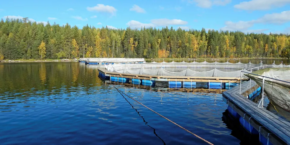 In 2018, Russia’s production of farmed salmonids, including Atlantic salmon and trout, increased 20 percent compared with the previous year, to reach 67,000 metric tons.