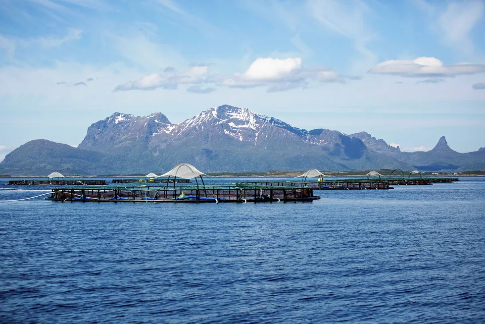 A Cermaq salmon farming operation in Sagfjorden, in the Nordland region of Norway.