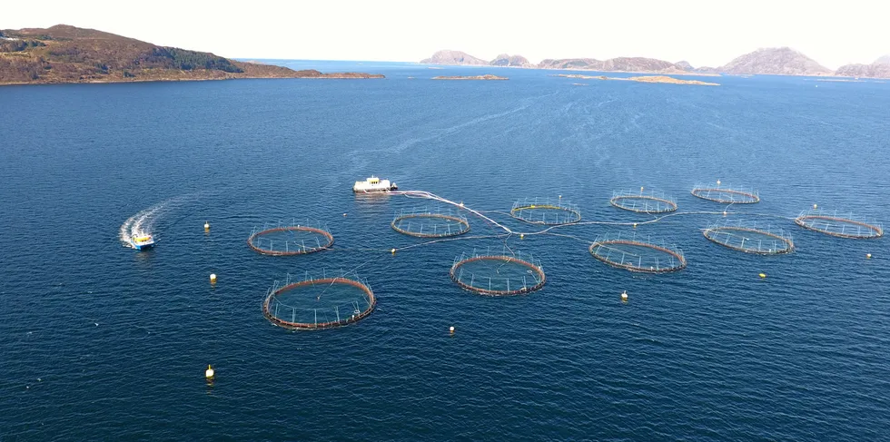 Svanøy Havbruk driver oppdrett av ørret, samt produksjon av rogn, yngel og settefisk.