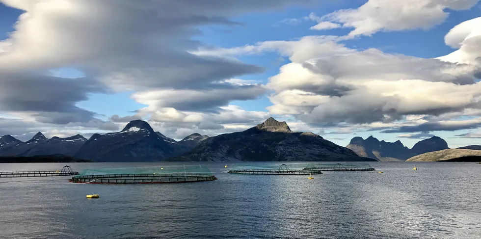 Matproduksjon: Bilde av anlegget Matvika i Sørfold kommune i Nordland.