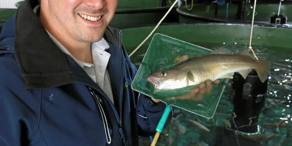 TROR PÅ TORSKEOPPDRETT: Daglig leder Henry Morten Thomassen i Ecomarin Seafarm tror torskeoppdrett er på vei tilbake. Han tro også et det er lønnsomhet i å ha torsken på land i kar lenge.