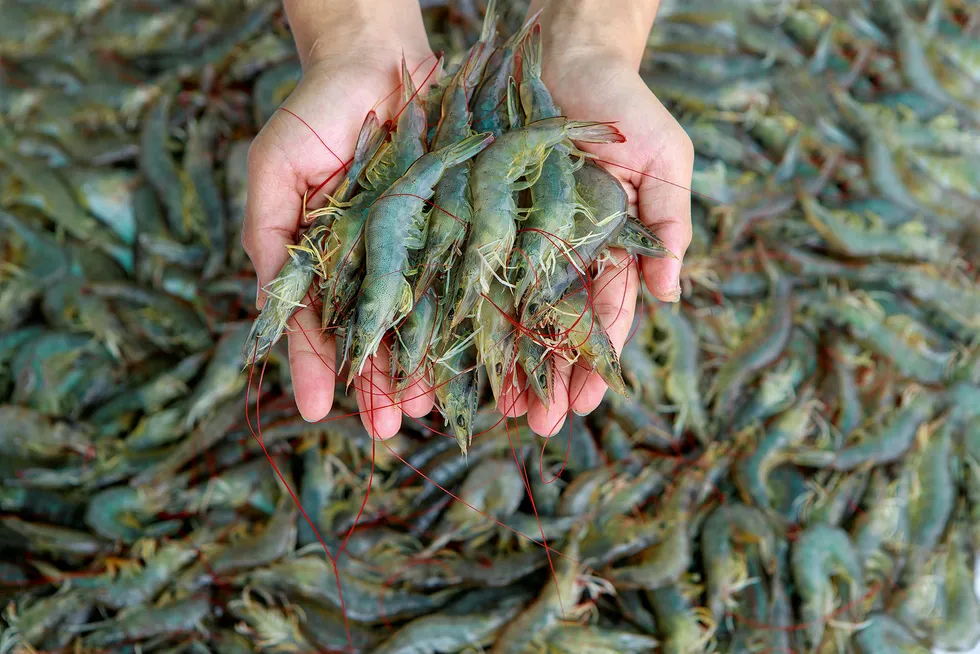 FDA has banned shrimp imports recently from China and Vietnam.
