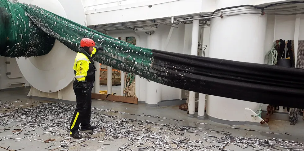 Havforskingsinstituttet sitt gytetokt på lodde utanfor Finnmark.