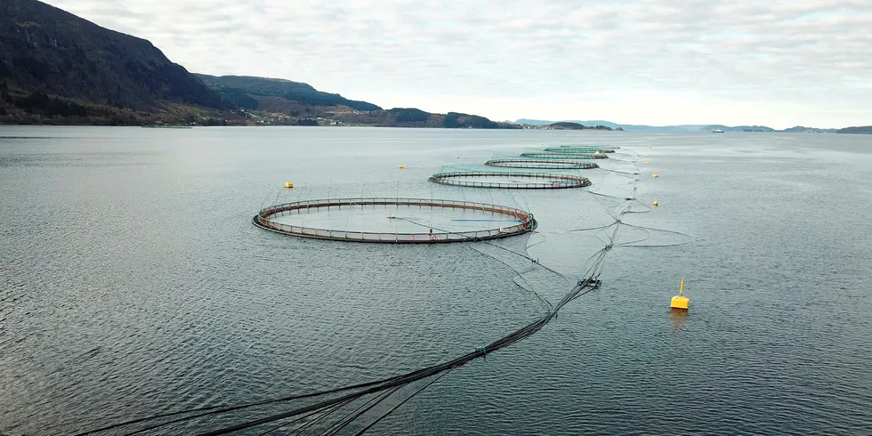 MILJØUNDERSØKELSER: Effekten av utslipp av organiske stoffer (avføring fra fisken og fôr-rester) og næringssalter overvåkes regelmessig.