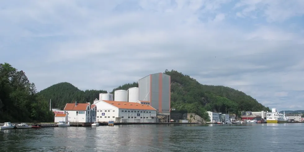 Pelagia forventer lavere lønnsomhet i år for fiskemel- og oljesektoren. Her fra Pelagia Egersund. Arkivfoto: Kjersti Sandvik