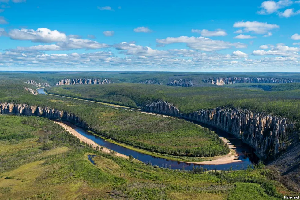 Auction twists: the Lena River in Russia's Yakutia region.