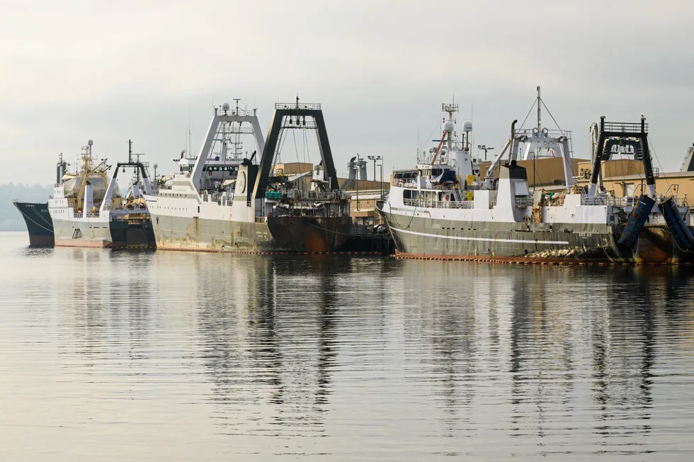 Salmon, crab and other species declines in Alaska are being increasingly tied to the Alaska pollock industry.