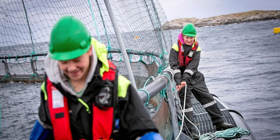 Mange unge søker seg til blå utdanning i Trøndelag, hvor havbruk ethar gitt mange arbeidsplasser siden starten på lakseeventyret for noe over 50 år siden.